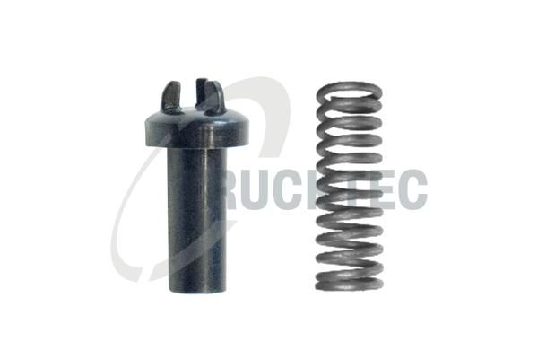 TRUCKTEC AUTOMOTIVE 01.43.163 - Alyvos siurblio slėgio vožtuvo spyruoklė