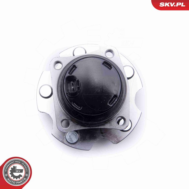 ESEN SKV 29SKV287 Wheel Bearing Kit