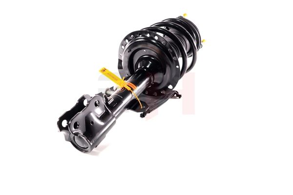 Vedruamort, GH GH-353057C01