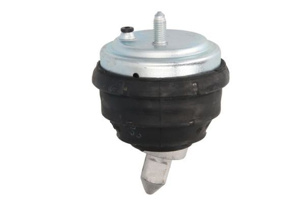 REINHOCH RH11-3017 Mounting, engine