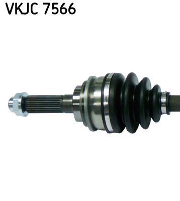 VKJC 7566_2.JPG
