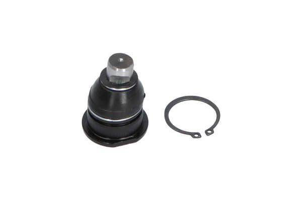 Kavo Parts SBJ-10011 Šarnyras