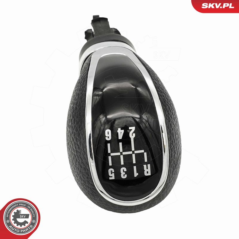 Käigukanginupp, ESEN SKV...