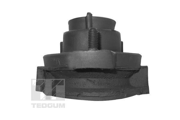 TEDGUM TED99891 Bushing, axle beam
