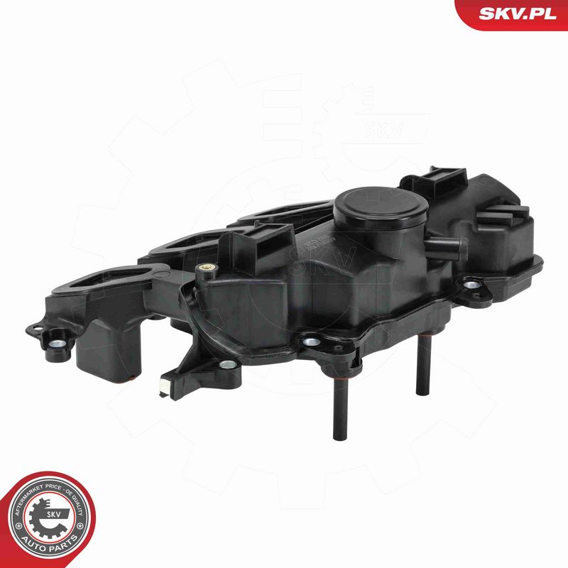 ESEN SKV 49SKV102 Intake Manifold Module