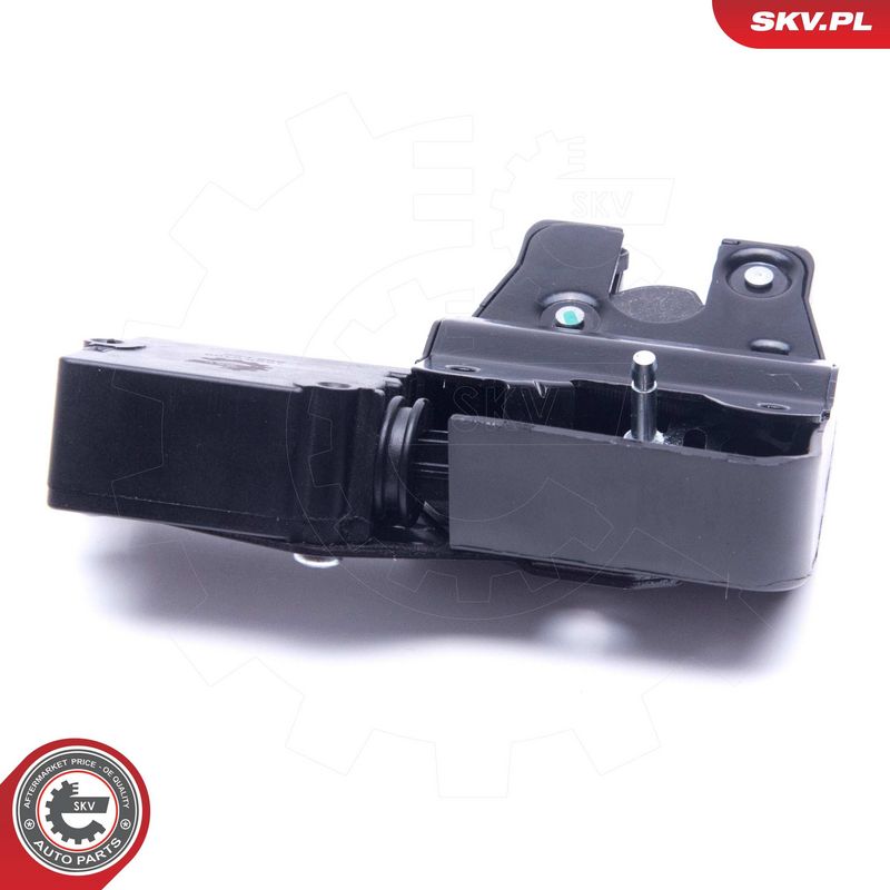 Tagaluugi sulgur, ESEN SKV 16SKV109