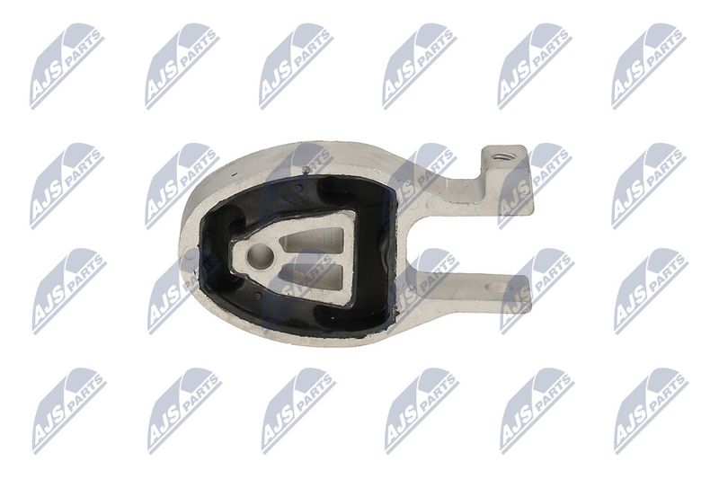 Paigutus, Mootor, NTY ZPS-FR-037