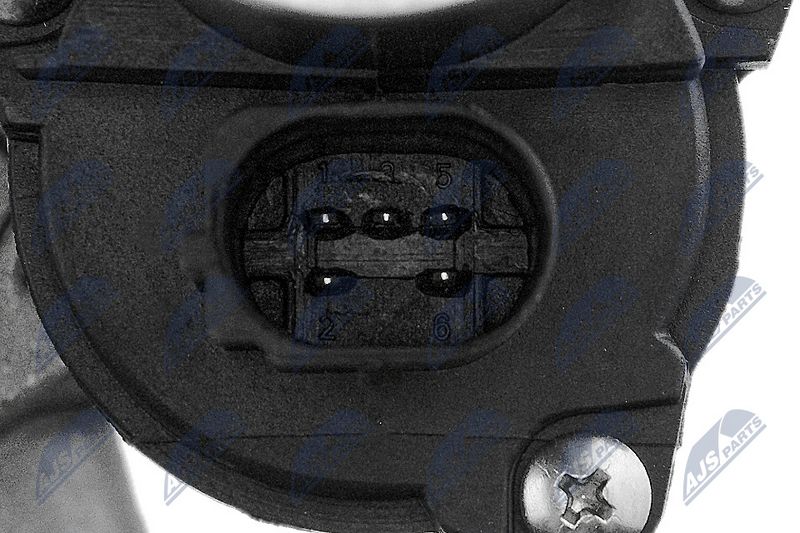 egr-vw-019_6-wm.JPG