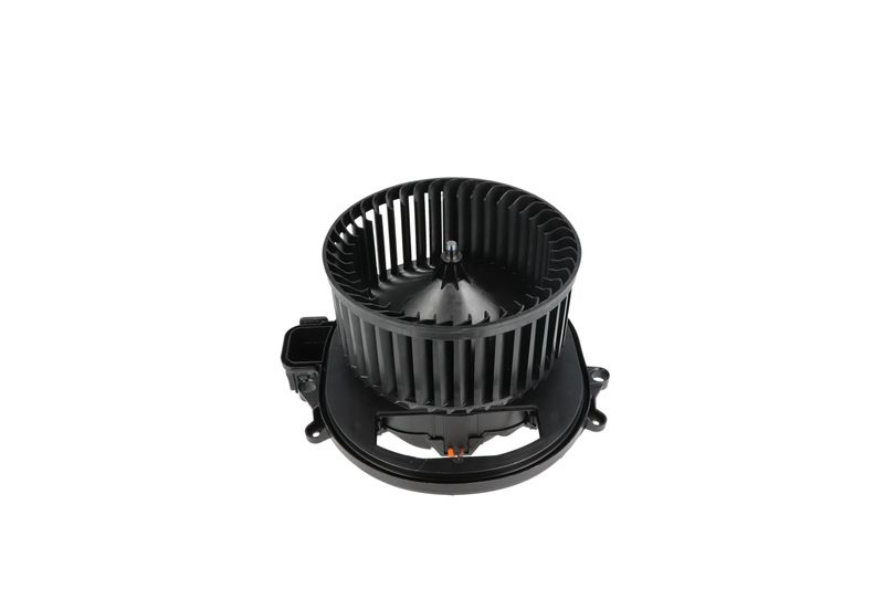 Salongipuhur, NRF 34236