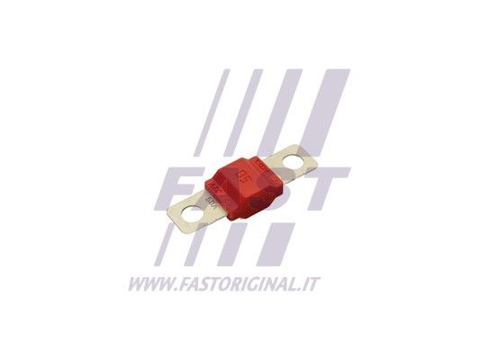 FT83402_2_1.JPG