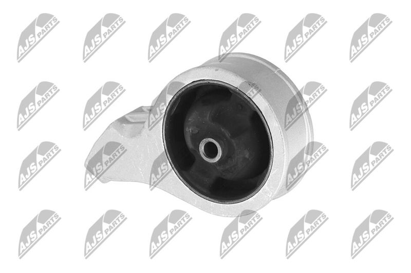 Paigutus, Mootor, NTY ZPS-HY-561