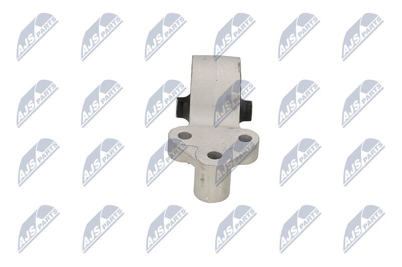 Paigutus, Mootor, NTY ZPS-MS-016