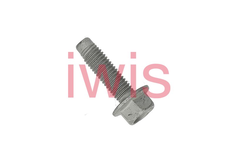 Surub, roata dintata-ax cu came 60548 AIC