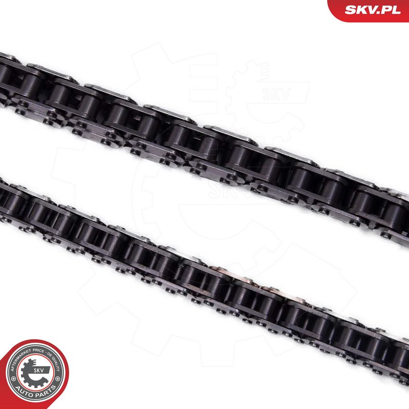 Mootori keti komplekt, ESEN SKV 21SKV250