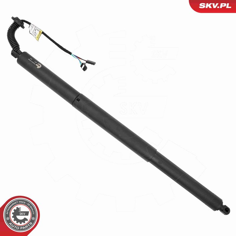 ESEN SKV 52SKV258 Electric Motor, tailgate