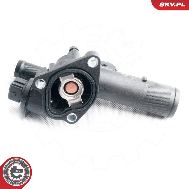 OEM код товара: 1106000Q0P