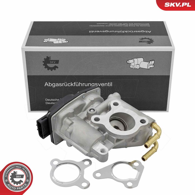 EGR-klapp, ESEN SKV 14SKV294
