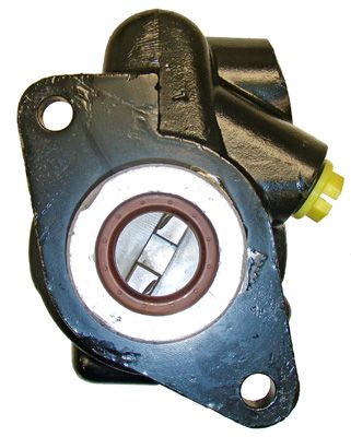 LIZARTE 04.85.0300 Hydraulic Pump, steering