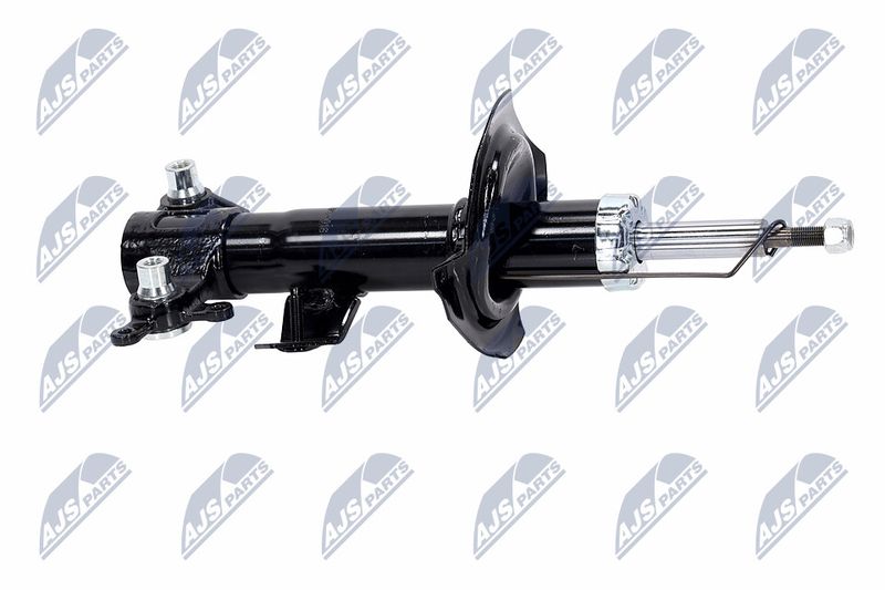 Amort, NTY A-NS-016