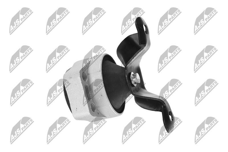 Paigutus, Mootor, NTY ZPS-FR-011