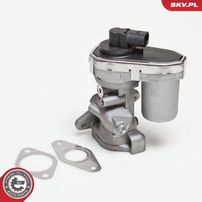 EGR-klapp, ESEN SKV 14SKV038