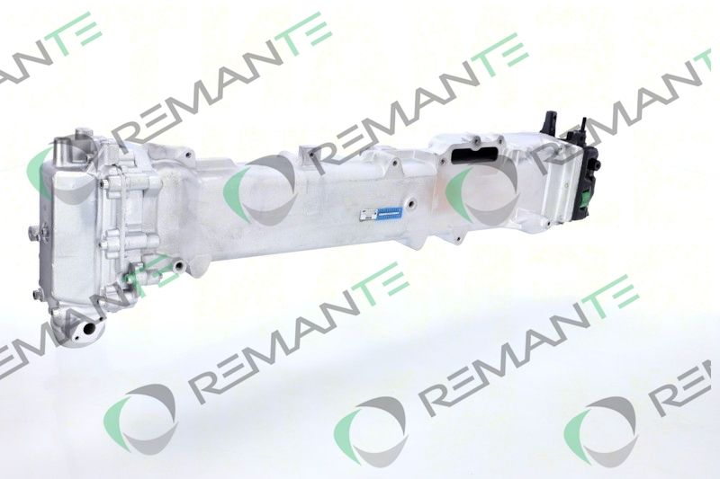 REMANTE 010-001-000019R EGR Module