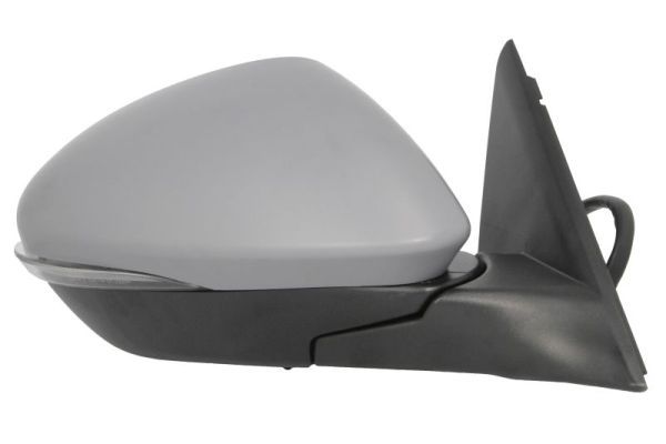 BLIC 5402-22-2075319P Exterior Mirror