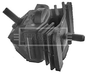 BEM4098_210874.JPG