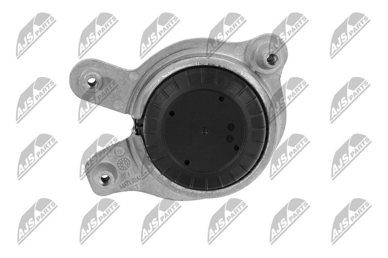 Paigutus, Mootor, NTY ZPS-ME-043