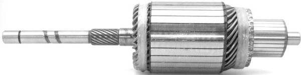 IM3110.JPG