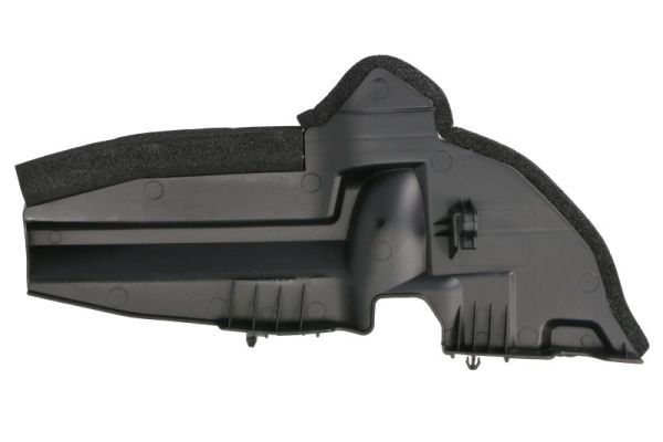 BLIC 6502-07-8199921P Ventilation Grille, bumper