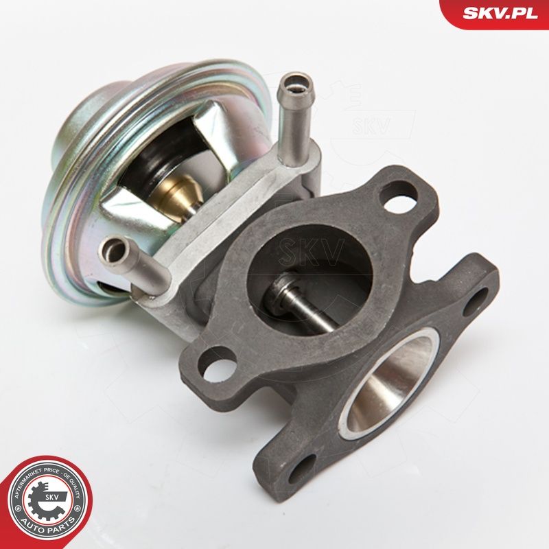 EGR-klapp, ESEN SKV 14SKV062