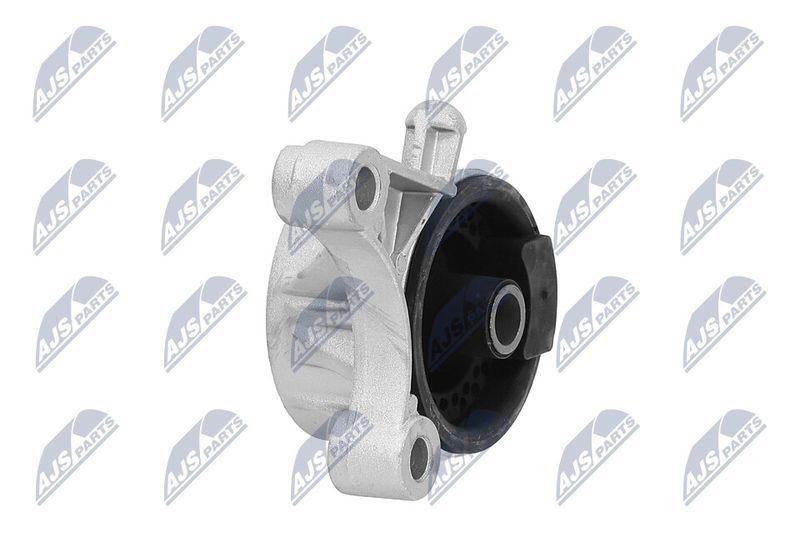 Paigutus, Mootor, NTY ZPS-PL-036