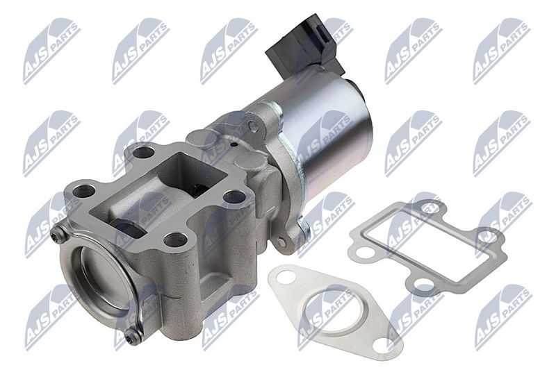 EGR-klapp, NTY EGR-TY-021
