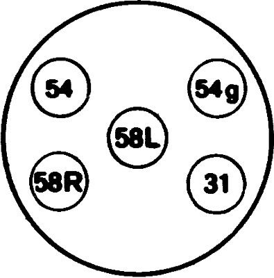 HELLA 8JB 001 940-001 Socket