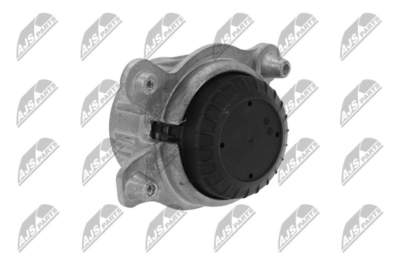 Paigutus, Mootor, NTY ZPS-ME-030