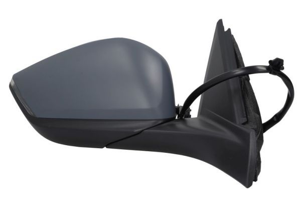 BLIC 5402-08-2543313P Exterior Mirror