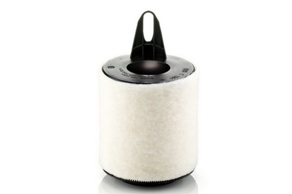 ASAM AUTOMOTIVE 71956 - Oro filtras