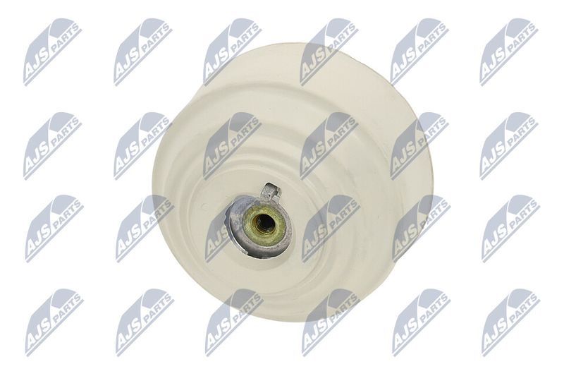 Paigutus, Mootor, NTY ZPS-ME-102