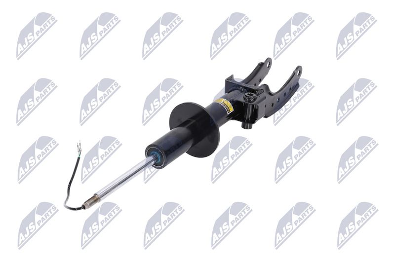 Amort, NTY A-PS-015