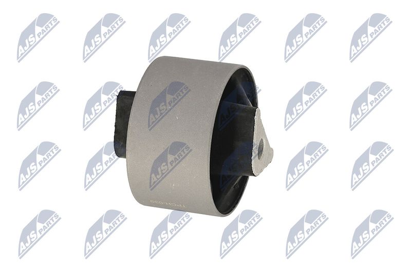 Paigutus, Mootor, NTY ZPS-CH-039