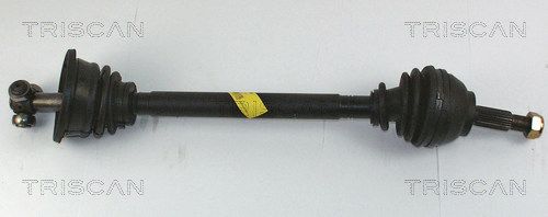 854025584.JPG