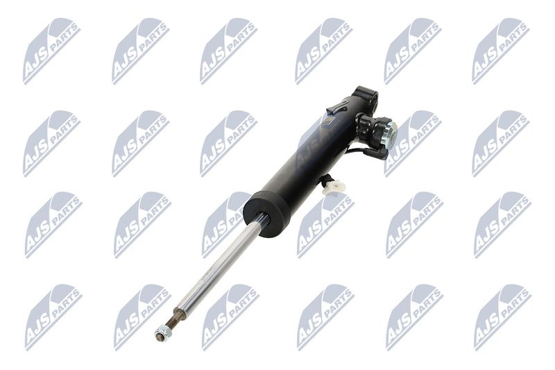 Amort, NTY A-PL-066