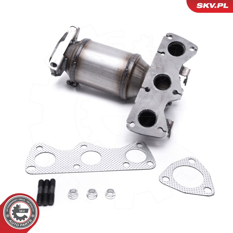 Katalüsaator, ESEN SKV 62SKV010