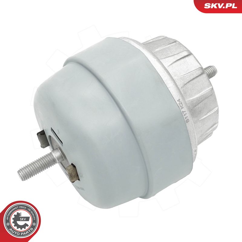 Paigutus, Mootor, ESEN SKV 75SKV295