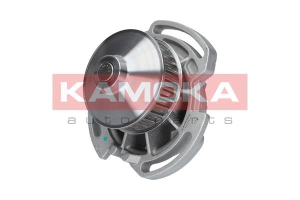 KAMOKA T0254 Water Pump, engine cooling