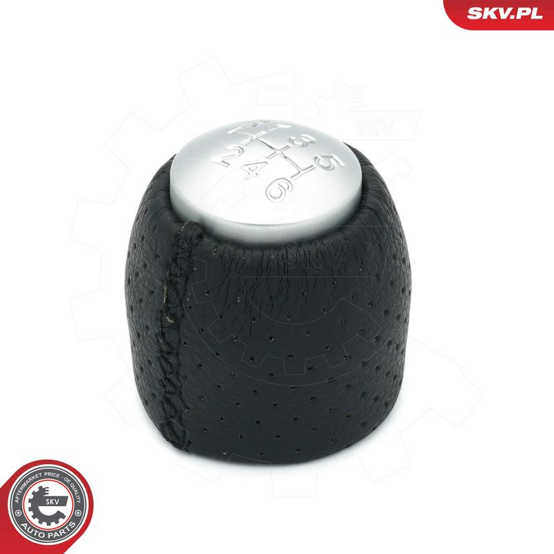 Käigukanginupp, ESEN SKV...