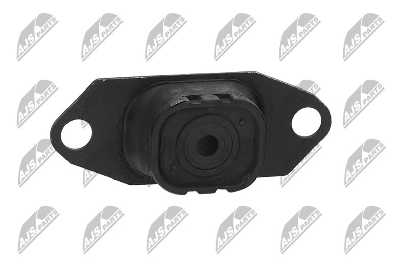 Paigutus, Mootor, NTY ZPS-NS-055