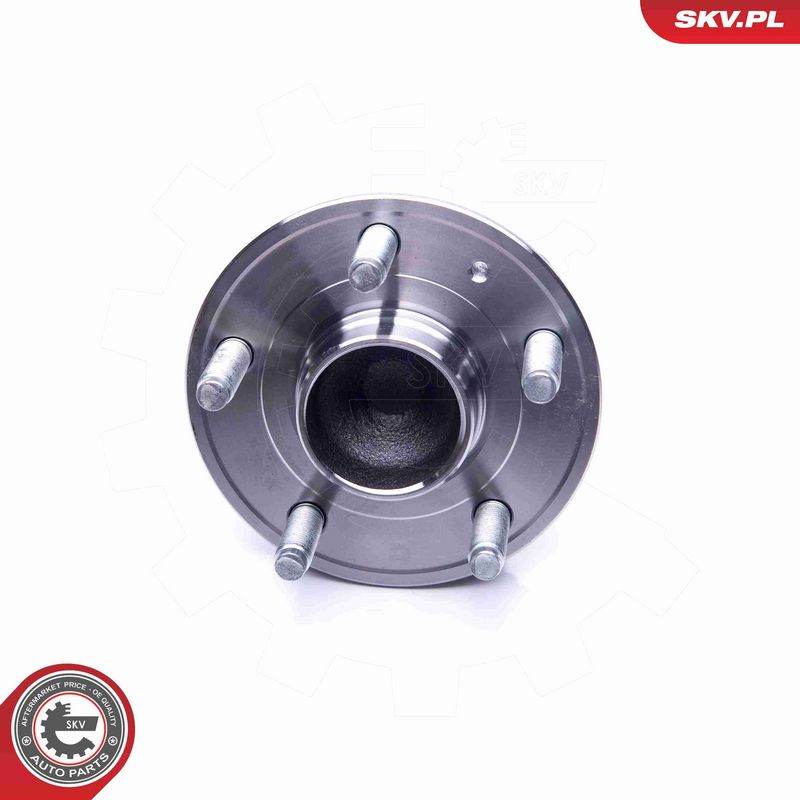ESEN SKV 29SKV249 Wheel Bearing Kit