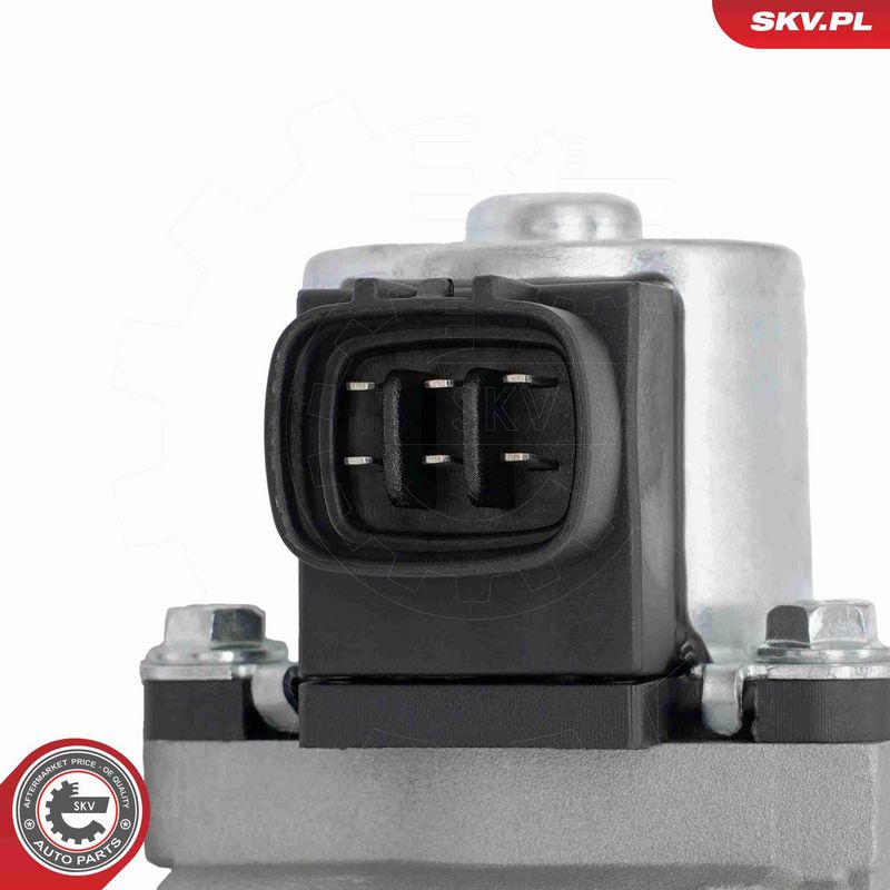 ESEN SKV 14SKV319 EGR Valve